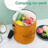 Tassen mode afdrukken Nieuwe camping ijszak aanpasbare rugzak koelere voedselbezorgtas