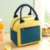 Bags Portable Lunch Bag Ice Cooler Pack Insulation Picnic Food Storage Bags For Girl Female Kids Tote School Bento Dinner Container