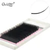 10 trays Qeelasee Flat Ellipse Eyelashes Split Tips Lashes 015 020 025Matte C D CC DD Black Color Super Soft Natural 240415