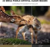 Kamery na zewnątrz 4K wideo na żywo Hunting Wildlife Trail Camera 30MP Aplikacja Bluetooth Control Nocna wizja zdjęcie pułapka