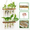 Retro Teströr Planter Vägg hängande växtterrarium med flerskikts trästativförökning Hydroponic Vase Home Garden Decor 240409