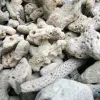 Uppvärmning av korallsandsten Botten Fisk tankfilter Material Pond Coral Bone Aquarium Justera pH