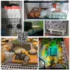 Heating Fish Tank Aquarium Accessory Grille Bottom Filter Grid Board, Foot Legs Bracket Supporting Plate,diy Climb Plate for Turtle Tank