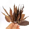 Decorative Flowers Natural Dried Leaves Biodegradable For Resin Jewelry Making Scrapbooking DIY Crafts Tools Accessories10pcs /Bag