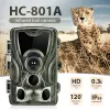 Caméras 2.0inch LCD Hunting Trail Camera 20MP 1080p Vision nocturne Caméras imperméables PHOTO PHOTO HC801A Surlise sans fil