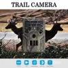 Cámaras 720p Camera de caza de senderos/Vigilancia de vida silvestre Dispositivo infrarrojo/visión nocturna Cámaras de exploración de vida silvestre/trampa fotográfica para caza