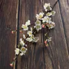 Decoratieve bloemen planten realistische kunstmatige bonsai sedumsarmentosum mooie huistuin decoreren
