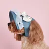 Appareils pour chiens chapeau de soleil capuchon de soleil Caps de base de protection pour animaux de compagnie avec trous d'oreille Boutes réglables pour chiens chats en dentelle extérieure