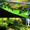 Accessoires Nuwrew Algues de 3e génération Retirer Chihiros Doctor Electronic Inhibit Green Aquarium Filtre Pompe Fish Water Plant