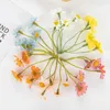 Fleurs décoratives 100pcs Sunflowers artificiels Fake Daisy Wedding ACCESSOIRES ACCESSOIRES DE BRIDAL