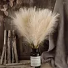 Decorative Flowers 10pcs Reed Pampas Grass Simulation Fluffy Boho Decor Flower Fake Plant High Quality Bouquet Home Propbackground