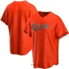 2023 Custom BaltimoreOriolesMen women Youth 35 Adley Rutschman 8 Cal Ripken Jr. 29 Ramon Urias 58 Cionel Perez 45 Keegan Akin 53 Baumann 74 Bautista Baseball Jerseys