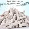 Chauffage de haute qualité Natural Natural Coral Bone Aquarium Filtre moyen matériel biologique Sands Corals pour pH Filtration de flux de poisson stable