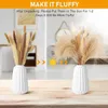 Dekorativa blommor 100st/Lot Cream Pampas Grass Fluffy Room Phragmites Decoration Natural Tail Dried Bouquet Boho Home Decor