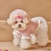 犬のアパレルコスチュームペット秋の冬のファッショナブルなレースステッチ小さくて中サイズの服かわいいプリンセススタイルの猫