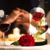 Cordes 1pc en verre LED Light Rose Dome String Artificial String Gift Saint Valentin