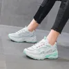 Casual Shoes Spring and Summer Single Net Daddy Low Heel Flat Bottom Pu Mesh Breattable Fashion Sneakers Women's Vulcanize