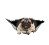 Qualtiy 1572cm PUG Autocollant 3d Pet Car Window Sticker Agoveable CA40119651641