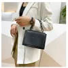 Bags senso sênior das bolsas textura magnânima da bolsa feminina New Crossbody Bags Feminina Cente