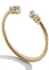 Sieraden mode armband dames geweven stalen touw ingelegd met Haoshi -vlek staal 18K gouden open armband3725141