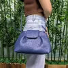 Sacs 2022 Sales chaudes Femmes d'épaule nuage sac Lady Hobo Purs à main pour les femmes saoudiennes Navire Riaydh