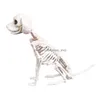 Decoração de festa Halloween Skeleton Dog Prop Ossos de animais de animais Horror SKL Props Y201006 Drop Deliver