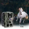 Камеры HC801A Hunting Trail Camera Camera Camera Camera с движением ночного видения активированное на открытом воздухе камера трасса триггер