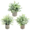 Artificial Potted Plants Eucalyptus Rosemary Desktop Mini Fake Green Plant for Home Office Study Room Decoration Bonsai 240407