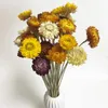 Kwiaty dekoracyjne 30pcs Naturalne stokrotki suszone bukiety kwiecorowe Daisies