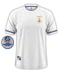 2024 2025 Uruguay Fußballtrikot