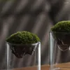 Wazony mały przezroczysty wazon do centralnych elementów roślin hydroponicznych stolik kwiat wystroju domu ślubny