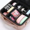 Cases Female Artist Makeup Bag Nail Organizer Brand Make Up Storage Box Professional Beauty Makeup Case New Travel Tool Cosmetic Bag