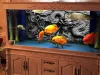 Aquariums Custom Size Aquarium Background Poster With SelfAdhesive Dragon Relief Creative PVC Fish Tank Wallpaper Ornament 24 30 48 72 in