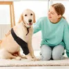 Suporte de aparelho de vestuário para cães com 10 paus para trás na perna confortável e protetor respirável para pequeno sênior