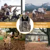 كاميرات 1/2pcs MMS SMTP Trail Camera البريد الإلكتروني كاميرات صيد الحياة البرية اللاسلكية 20 ميجابكسل 1080p الرؤية الليلية مصيدة HC900M