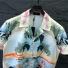 24 Summer Fashion Mens Tracksuits Hawaii пляжные брюки набор дизайнерских рубашек печатные рубашка Man Slim подходит для доски директоров короткие пляжи M-3XL 04