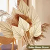 Dekorative Blumen 40pcs Boho getrocknete Palmspeere Blätter kleine echte Lüfter mit Stammblatt -Dekor Vase