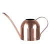 5001000ML Watering Pot Stainless Steel Long Mouth Green Plant Can Golden Kettle Small Gardening Tool 240411