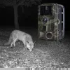 Kameras 1080p Hunting Trail Trap Kamera Hochsensitivitätsbewegungserkennung Nachtsicht Video wasserdichte IP66 Wildlife Kamera