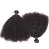 Włosy Brazylijskie Afro Kinky Curly Human Human Bundles Remy Weavves Double 100g/Pakiet 2 Bundle/Lot Extensions Produkty Dhvzk Dhvzk