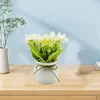 Decorative Flowers No Maintenance Artificial Plants Elegant Potted For Home Office Decor Faux Floral Room Bedroom