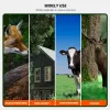 Telecamere ourdoor Trail Camera WiFi Control dell'app WiFi 1296p 24 MP CAM CAM Night Vision Motion Activated Waterroof Hunting Camera 0.2S Trigge