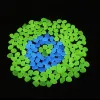 Aquariums 1000/500Pcs Garden Decoration Outdoor Luminous Stones Glow In The Dark Pebbles Aquarium Fish Tank Yard Decor Crystals Rocks Bulk