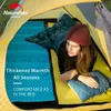 -OUTDOOR Folding fuktsäker mat camping tält vattentät skummatta tjock aluminiumfilm 2,5 cm NH20FCD07 240416