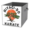 Förvaringspåsar vikbar låda miyagi gör karate orolig för försäljningsfack arrangör division av strumpor och bra till beröring