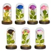 Decorative Flowers Eternal Rose Flower In Glass Dome With LED Light Wooden Base Valentine Christmas Gifts For Women-Purple