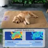 Summer Pad Mat Rattan Weave Breattable Dog Cooling Cat Nonslip Sleeping Rest Cushion Pet Antibite Wearresistant Nest 240418