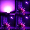 Grow LightsE27110V LED Plant Lamp Growing BBS for Flower Plant