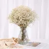 Decorative Flowers Natural Dried Flower Gypsophila Baby Breath Preserve Wedding Party Marry Bouquet Decor DIY Boho Po Props Decoration