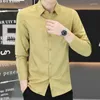 Camicie da uomo camicie di alta qualità per cotone a maniche lunghe marchi coreani Business Fashion Solid Color Top
